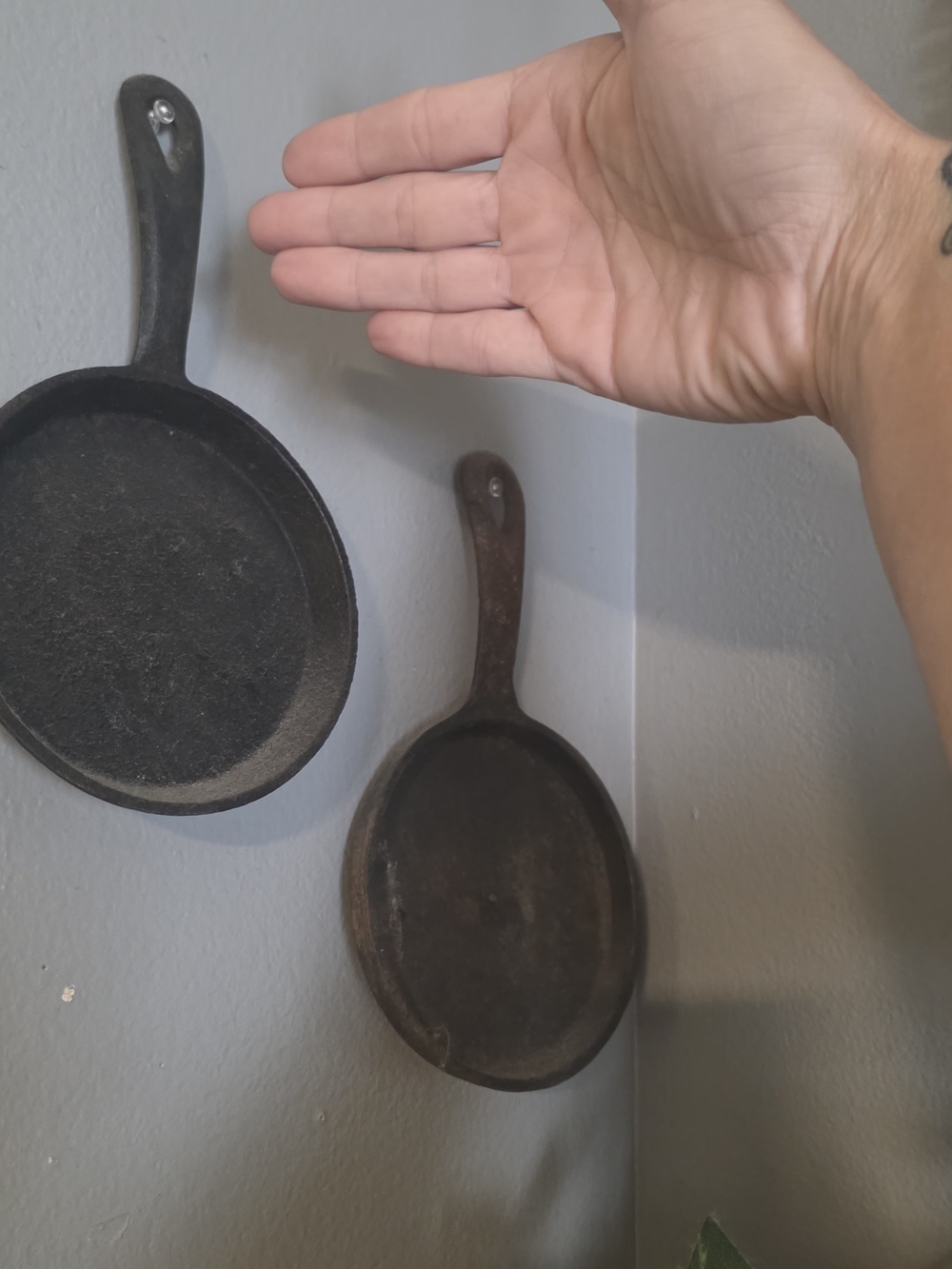Mini Cast Iron Skillets